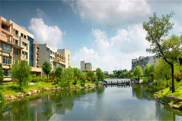 一年赚了40254亿元 比亚迪今年还要打一场硬仗