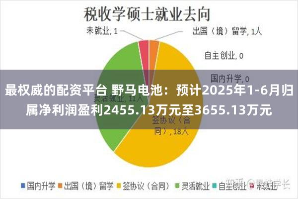 最权威的配资平台 野马电池：预计2025年1-6月归属净利润盈利2455.13万元至3655.13万元