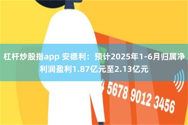 杠杆炒股指app 安德利：预计2025年1-6月归属净利润盈利1.87亿元至2.13亿元