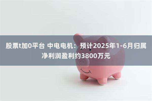 股票t加0平台 中电电机:预计2025年1-6月归属净利润盈利约3800万元