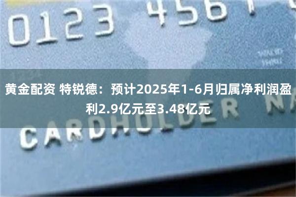 黄金配资 特锐德：预计2025年1-6月归属净利润盈利2.9亿元至3.48亿元