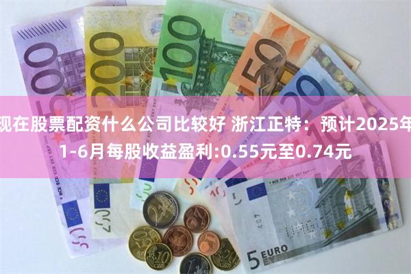 现在股票配资什么公司比较好 浙江正特：预计2025年1-6月每股收益盈利:0.55元至0.74元