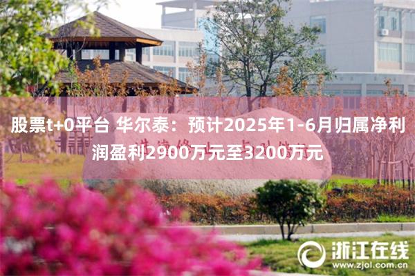 股票t+0平台 华尔泰：预计2025年1-6月归属净利润盈利2900万元至3200万元
