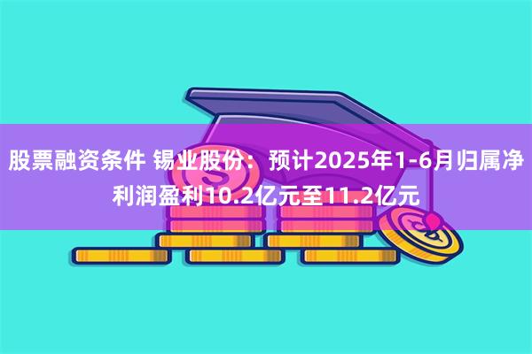 股票融资条件 锡业股份：预计2025年1-6月归属净利润盈利10.2亿元至11.2亿元