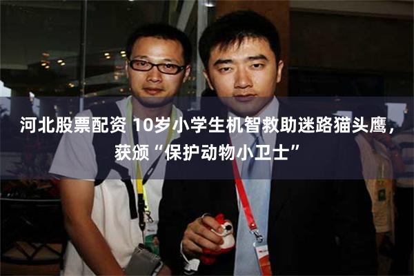 河北股票配资 10岁小学生机智救助迷路猫头鹰，获颁“保护动物小卫士”