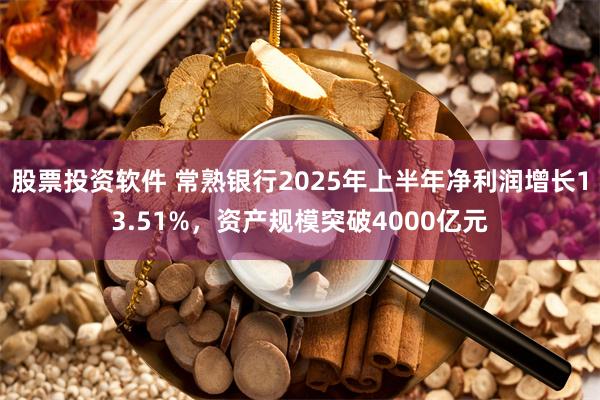 股票投资软件 常熟银行2025年上半年净利润增长13.51%，资产规模突破4000亿元