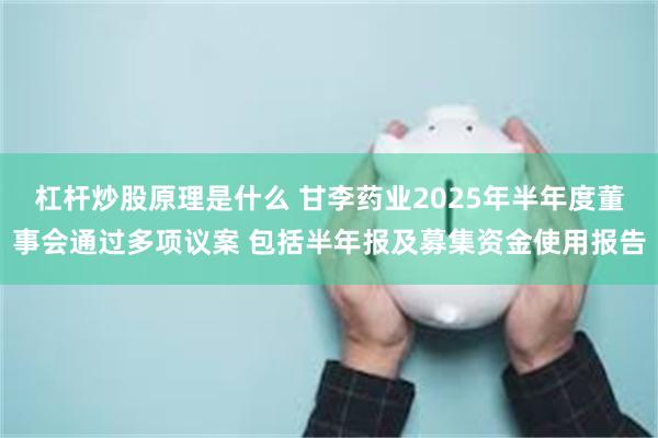 杠杆炒股原理是什么 甘李药业2025年半年度董事会通过多项议案 包括半年报及募集资金使用报告