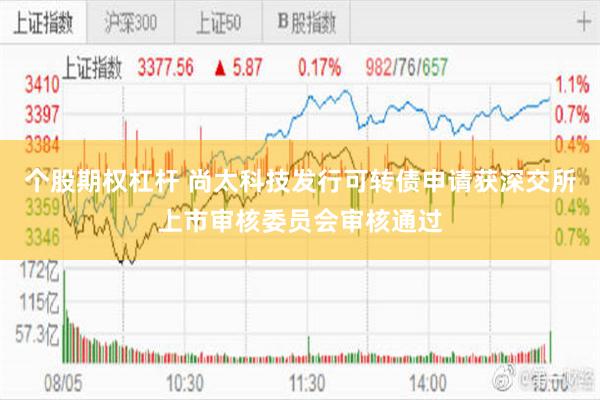 个股期权杠杆 尚太科技发行可转债申请获深交所上市审核委员会审核通过