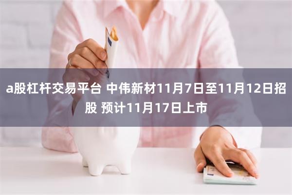 a股杠杆交易平台 中伟新材11月7日至11月12日招股 预计11月17日上市