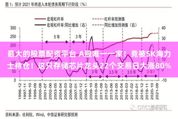 最大的股票配资平台 A股唯一一家！竟被SK海力士持仓！这只存储芯片龙头22个交易日大涨80%