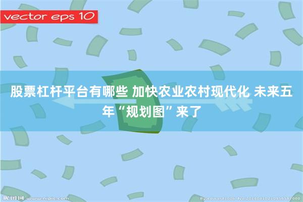 股票杠杆平台有哪些 加快农业农村现代化 未来五年“规划图”来了