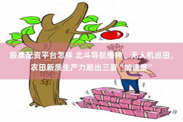 股票配资平台怎样 北斗导航播种、无人机巡田,农田新质生产力跑出三夏“加速度”
