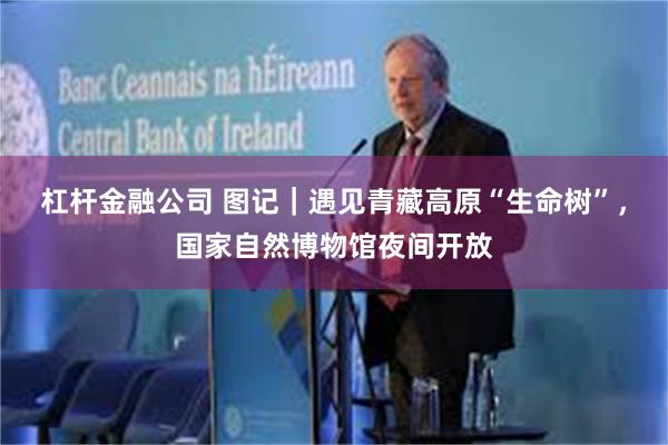 杠杆金融公司 图记｜遇见青藏高原“生命树”，国家自然博物馆夜间开放