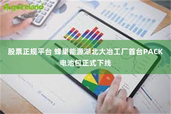股票正规平台 蜂巢能源湖北大冶工厂首台PACK电池包正式下线