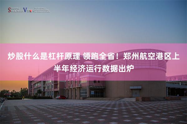 炒股什么是杠杆原理 领跑全省！郑州航空港区上半年经济运行数据出炉