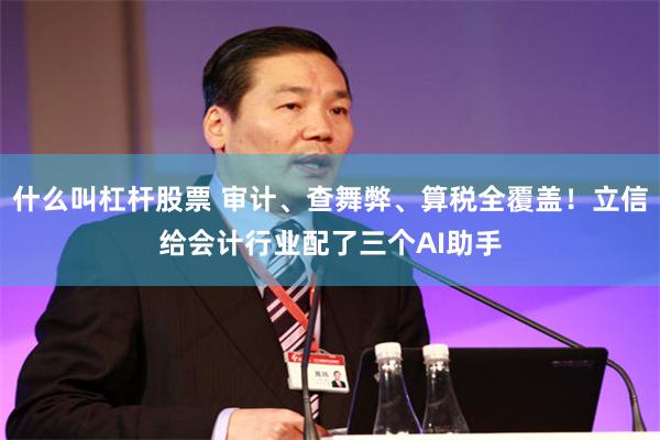 什么叫杠杆股票 审计、查舞弊、算税全覆盖！立信给会计行业配了三个AI助手