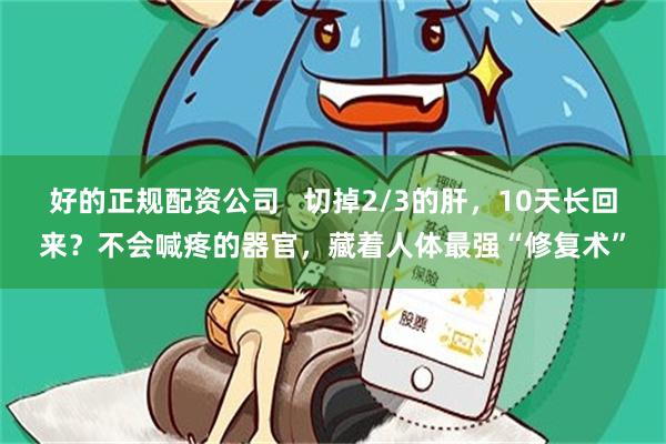 好的正规配资公司   切掉2/3的肝，10天长回来？不会喊疼的器官，藏着人体最强“修复术”