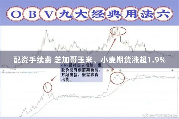 配资手续费 芝加哥玉米、小麦期货涨超1.9%