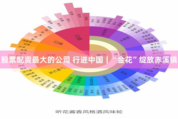 股票配资最大的公司 行进中国|“金花”绽放赤溪镇