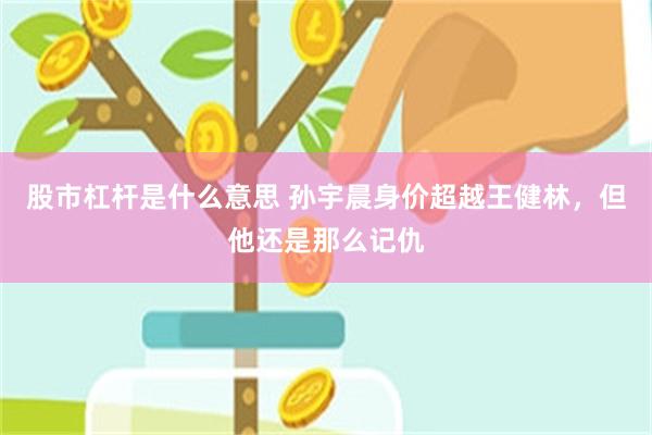 股市杠杆是什么意思 孙宇晨身价超越王健林，但他还是那么记仇