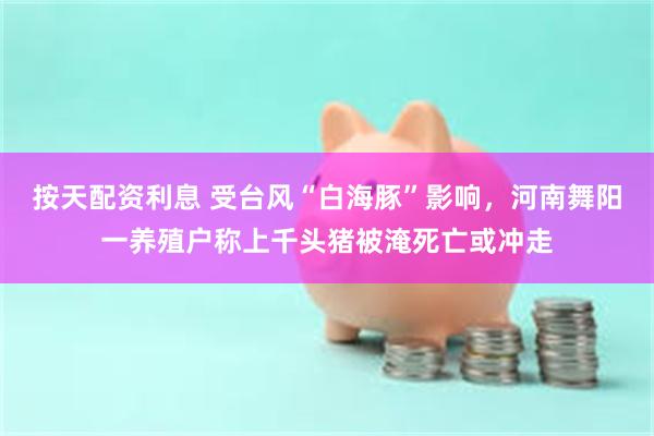 按天配资利息 受台风“白海豚”影响,河南舞阳一养殖户称上千头猪被淹死亡或冲走