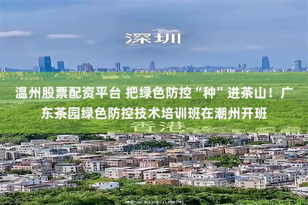 温州股票配资平台 把绿色防控“种”进茶山！广东茶园绿色防控技术培训班在潮州开班