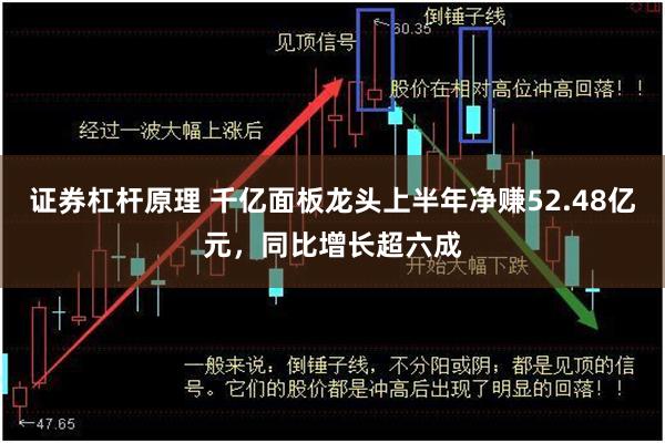 证券杠杆原理 千亿面板龙头上半年净赚52.48亿元，同比增长超六成