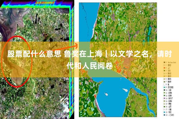 股票配什么意思 鲁奖在上海|以文学之名,请时代和人民阅卷