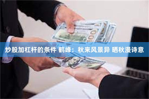 炒股加杠杆的条件 鹤峰：秋来风景异 晒秋漫诗意