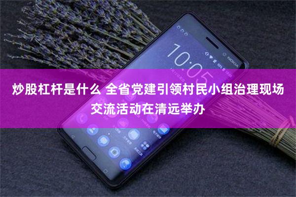 炒股杠杆是什么 全省党建引领村民小组治理现场交流活动在清远举办
