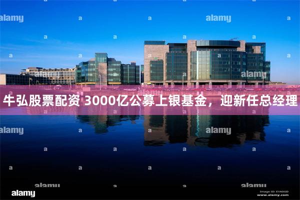 牛弘股票配资 3000亿公募上银基金,迎新任总经理