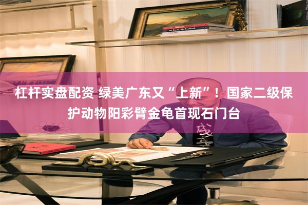 杠杆实盘配资 绿美广东又“上新”！国家二级保护动物阳彩臂金龟首现石门台