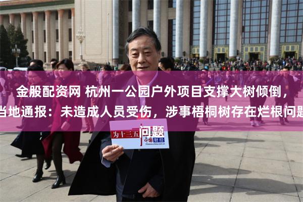 金股配资网 杭州一公园户外项目支撑大树倾倒，当地通报：未造成人员受伤，涉事梧桐树存在烂根问题