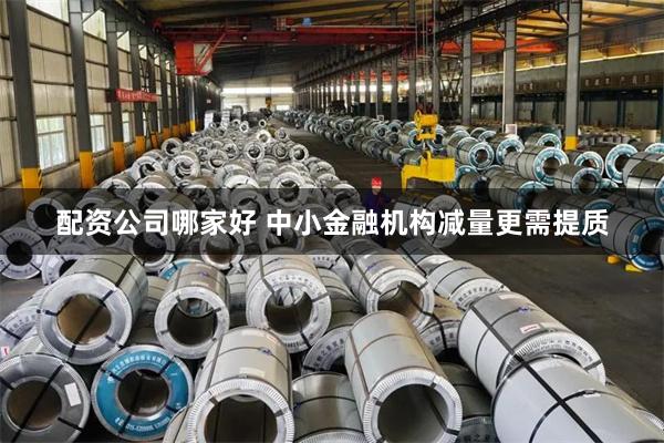 配资公司哪家好 中小金融机构减量更需提质