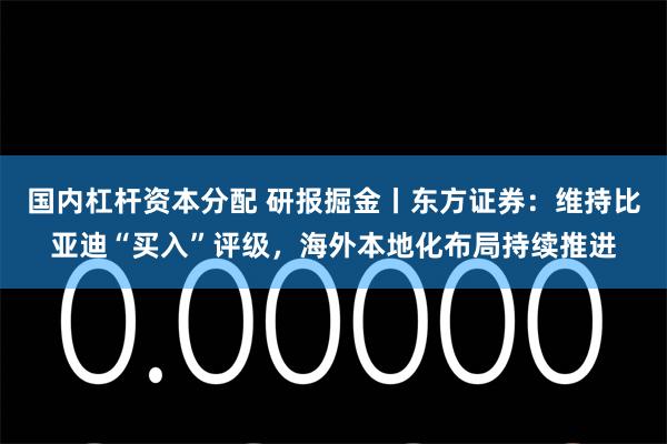 国内杠杆资本分配 研报掘金丨东方证券：维持比亚迪“买入”评级，海外本地化布局持续推进