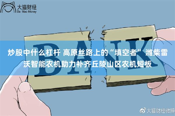 炒股中什么杠杆 高原丝路上的“填空者” 潍柴雷沃智能农机助力补齐丘陵山区农机短板