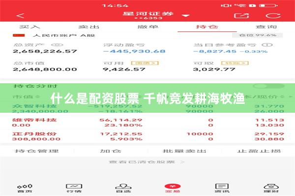什么是配资股票 千帆竞发耕海牧渔
